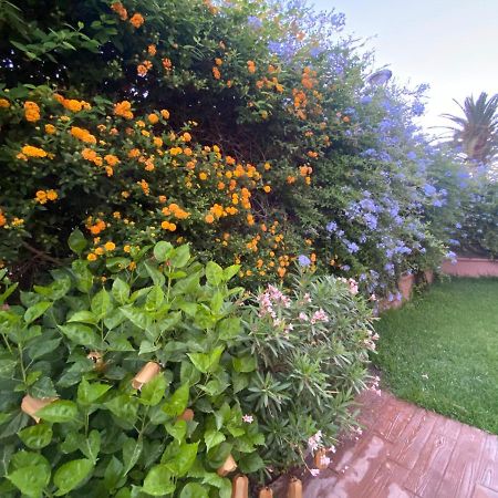 Apartamento Jardin Sanlucar Sanlucar de Barrameda Luaran gambar