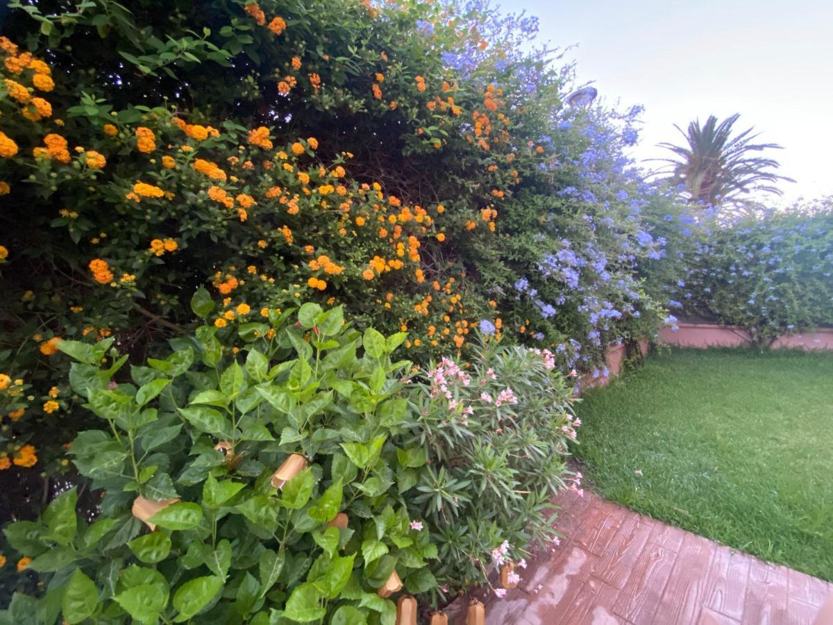 Apartamento Jardin Sanlucar Sanlucar de Barrameda Luaran gambar